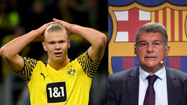 给你修修胡子，瓦科分享自己用剪刀剪克雷桑胡子的照片